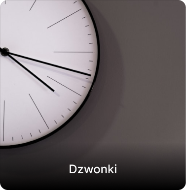 Dzwonki